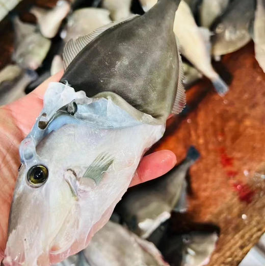 【蓝鳍扒皮鱼】 深海捕获，急冻锁住新鲜 帮杀好去皮，肉鲜味美，蒸豆腐酱，煮粥等 商品图3