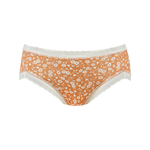 都市丽人健康系列锦泳三角裤女士内裤中腰三角裤LK32A2 商品图6