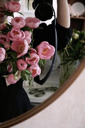 【预售！4.20起陆续发出】鲑鱼蝶【疲惫的生活要有一些温柔的梦想，比如拥抱还在身边的你】简小姐精选 稀有进口品种鲑鱼色 单瓣芍药 鲑鱼蝶 2件包邮 顺丰空运直发