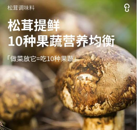 松鲜鲜松茸鲜调味料代替鸡精味精盐松鲜鲜蔬炒菜家用松茸精菌菇粉 商品图3