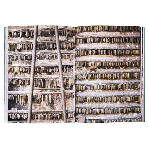 【中商原版】Timeless Paris 进口艺术 永恒的巴黎 商品图6