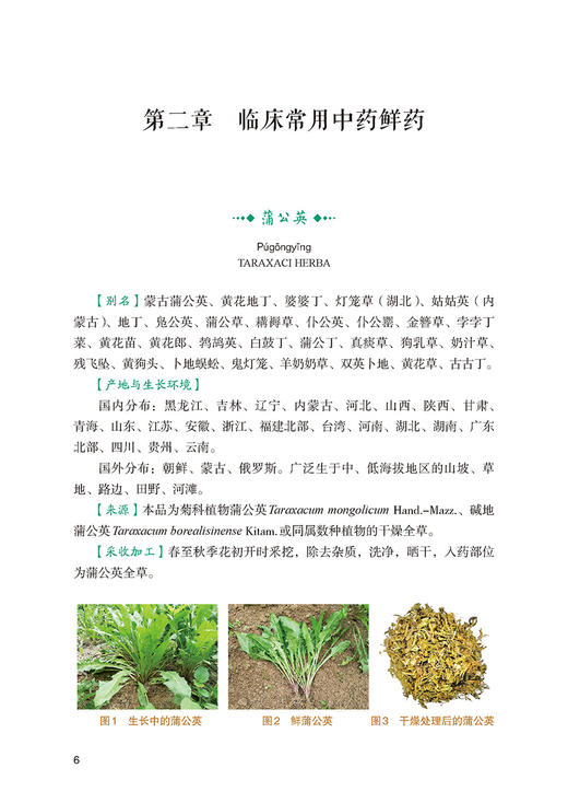 中药鲜药治疗疑难病症 王泽民 齐淑兰 临床常用药 白血病食管癌胃炎贫血等病症临床效验 中医学 中国医药科技出版社9787521427318 商品图3