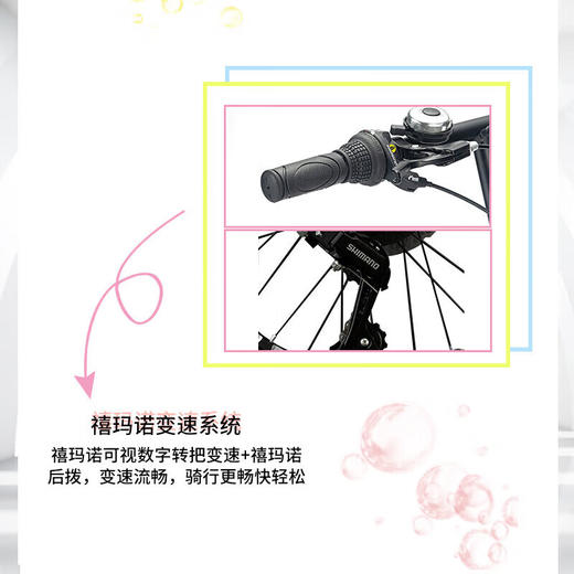 永久20寸折叠车 佳驰 商品图6