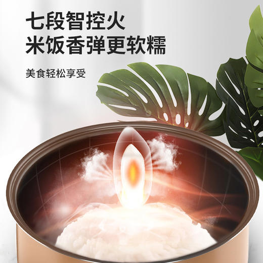 九阳电饭煲F40FZ-F531 商品图3