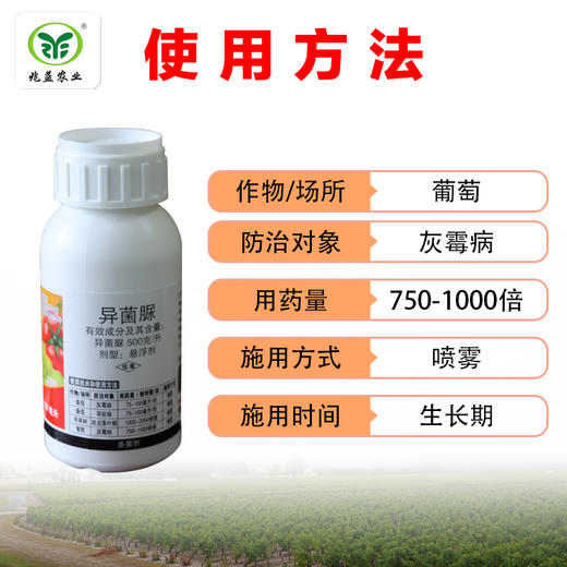 扑海因-异菌脲50%有效预防葡萄灰霉病的发生 商品图2