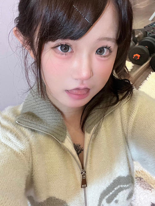 年抛 Sugar Plum 夏尔特猫 14.5 着色13.8 深灰 商品图1