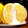 【鲜嫩多汁！黄金葡萄柚礼盒套装】新鲜爆汁，当季现摘！汁多爽口，柚香浓郁！水果皮薄肉多黄心西柚子七夕情人节健康 商品缩略图0