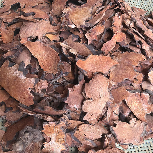 金刚藤   菝葜 商品图2