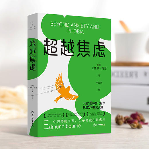 超越焦虑  作者 [美]艾德蒙·伯恩 磨铁图书 商品图0