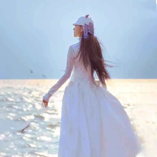 优雅款 |梅骨清韵民族风连衣裙 | 杨丽萍老师同款 | 现货加急发 商品图4