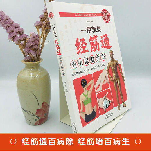 【9.9元包邮】彩色图解 一用就灵经筋通养生保健全书 调理人体经络穴位图特效穴位奇经八脉推拿按摩书入门教程手法艾灸疗法中医养生大全治病书 商品图1
