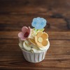 春天花朵纸杯蛋糕·低卡糖 | Midori 商品缩略图7