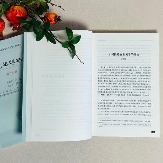 中国美学研究(第20辑) 朱志荣 主编 王怀义 副主编 商务印书馆 商品图5