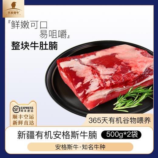 【冻品】天莱香牛有机安格斯牛腩500g*2袋 商品图5