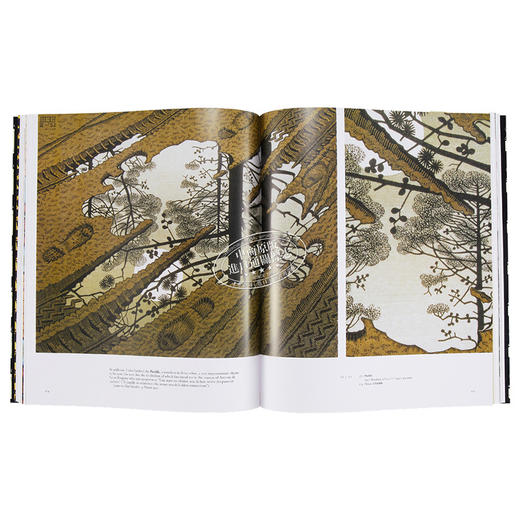 【中商原版】埃舍尔的魔力 英文原版 The Magic of M.C.Escher Locher Thames and Hudson 商品图7