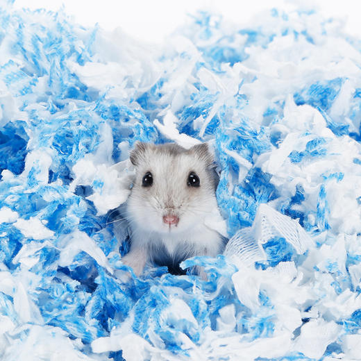 小动物仓鼠无尘纸棉 纸屑除臭保暖 商品图2