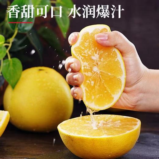 【鲜嫩多汁！黄金葡萄柚礼盒套装】新鲜爆汁，当季现摘！汁多爽口，柚香浓郁！水果皮薄肉多黄心西柚子七夕情人节健康 商品图3