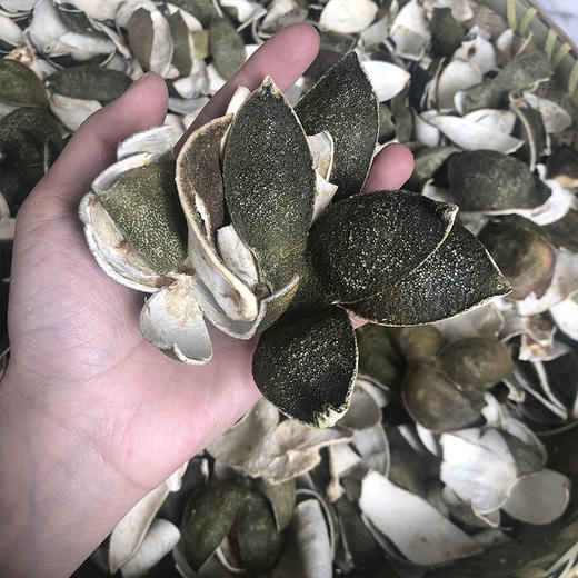 青皮 四花青皮  青皮丝   新货 商品图3