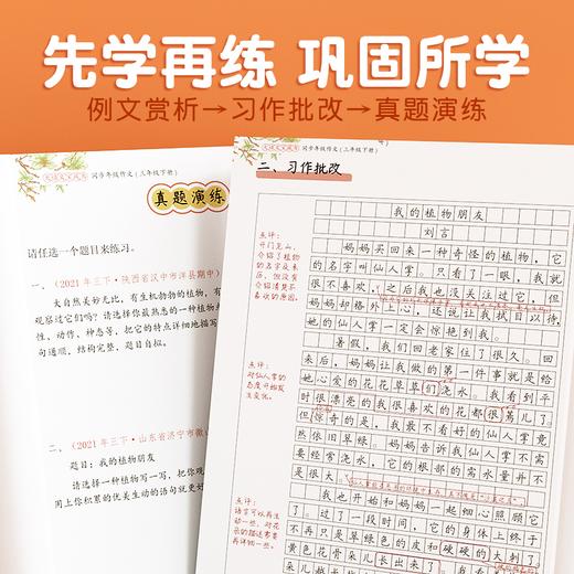 【斗半匠】同步年级作文小学1-6年级上下册人教版 商品图4