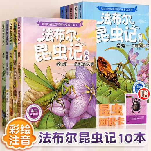 【斗半匠】法布尔昆虫记全10册 商品图0