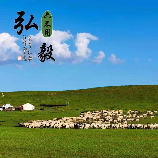 【弘毅六不用生态农场】六不用 草原羔羊排 自由放牧1000克/份 商品图4