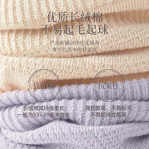 C2-【5双装】春夏薄款网眼透气船袜棉质隐形浅口防滑防掉跟短袜女 步态轻盈 商品图2