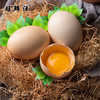 临泉农户散养初生土鸡蛋小鸡蛋初产蛋新鲜适合老人孩子 商品缩略图1