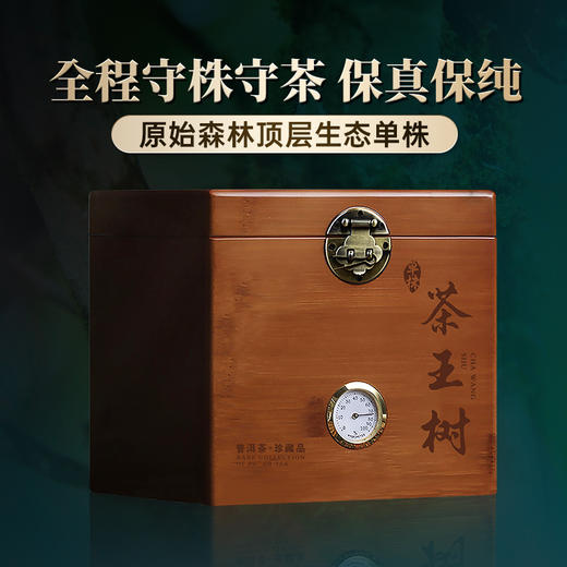 春茶预售【茶王树单株】茶农联合出品，一树一成品纯料至尊升级包装为500克更具收藏与送礼价值 商品图0