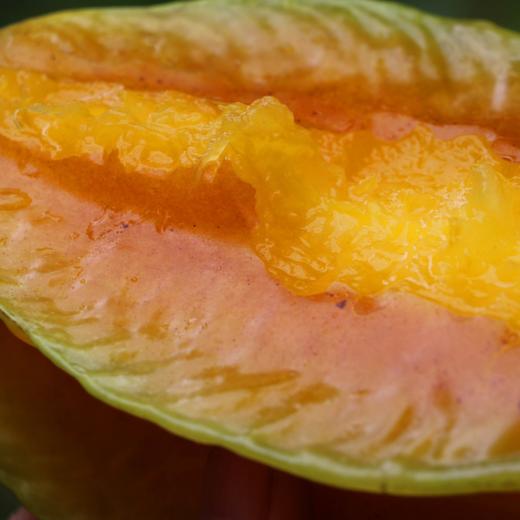 【小甜星树上熟杨桃】杨桃水果  清爽的甜 淡淡的香 商品图5