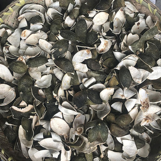 青皮 四花青皮  青皮丝   新货 商品图2