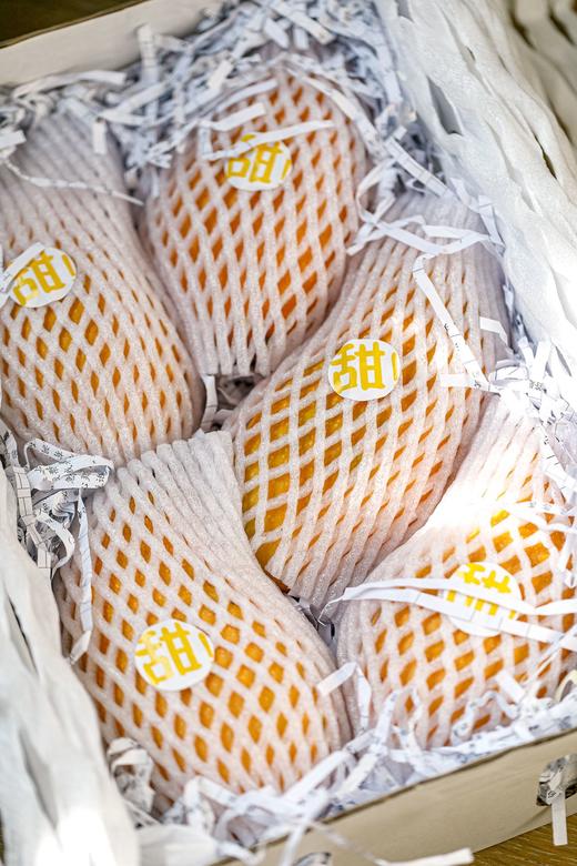 【三亚·预售】金煌芒 商品图1