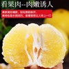 【鲜嫩多汁！黄金葡萄柚礼盒套装】新鲜爆汁，当季现摘！汁多爽口，柚香浓郁！水果皮薄肉多黄心西柚子七夕情人节健康 商品缩略图2