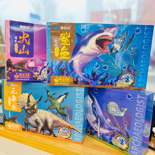 化石挖宝考古盲盒 商品图0