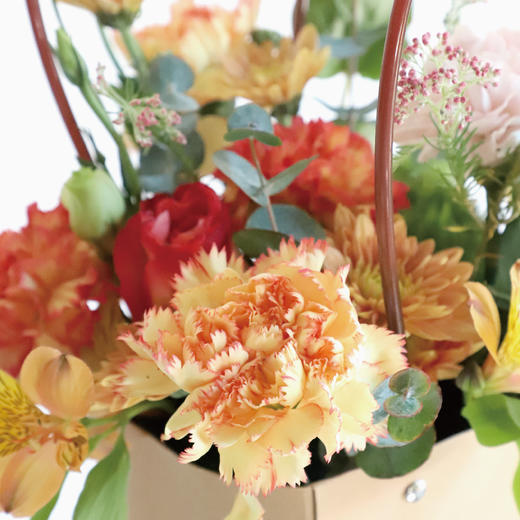 用鲜花写一首春天的诗 商品图2