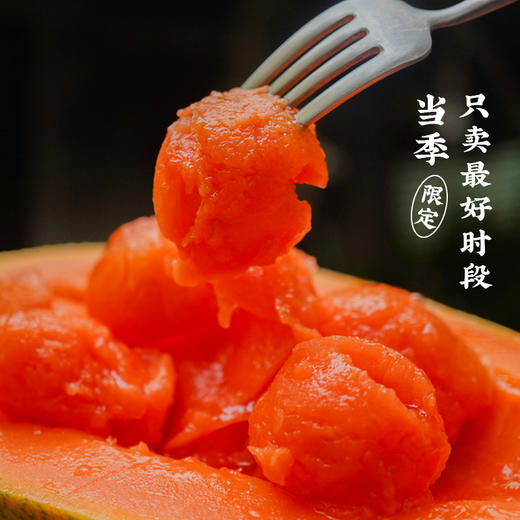 艾格吃饱了正宗湛江雷州冰糖木瓜当季新鲜水果5斤装 商品图4