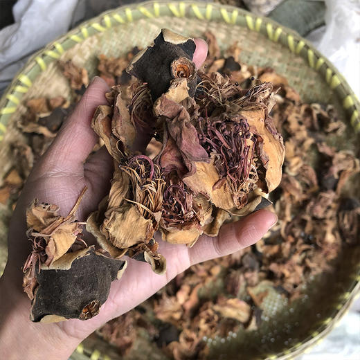 木棉花   攀枝花 商品图3