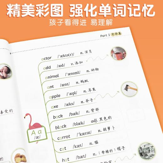 【斗半匠】学音标快速记单词思维导图速记 商品图4