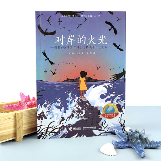 对岸的火光   六年级正版现货速发|名师推荐|小学生课外阅读6年级 商品图0