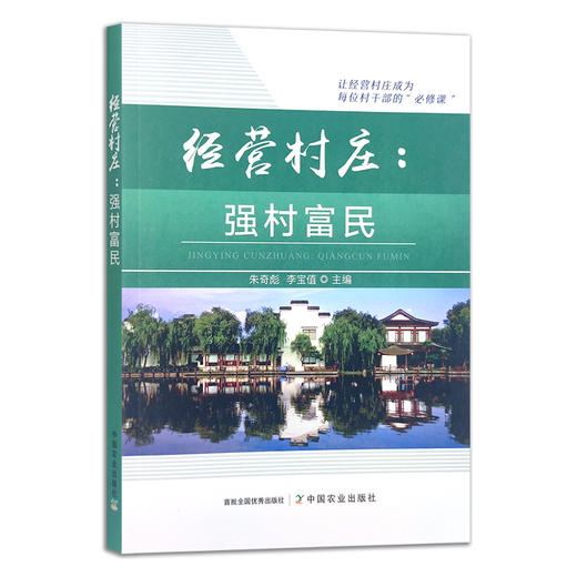 经营村庄：强村富民 朱奇彪 李宝值 社会主义建设 乡村振兴 29846 商品图1