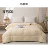 圣布凡热麦被-春秋型 商品缩略图0