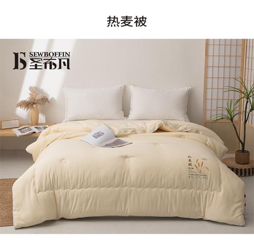 圣布凡热麦被-春秋型 商品图0