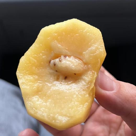 树熟人参果，香味浓郁，水分足，天然滋补珍品，金灿灿的果肉，口感香甜多汁，细腻爽滑 商品图2