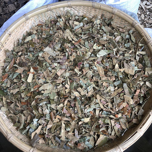 枇杷叶  生枇杷叶 商品图0