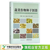 蔬菜作物种子图册 王德槟,魏民,马宾生,李蕾 30002 商品缩略图0