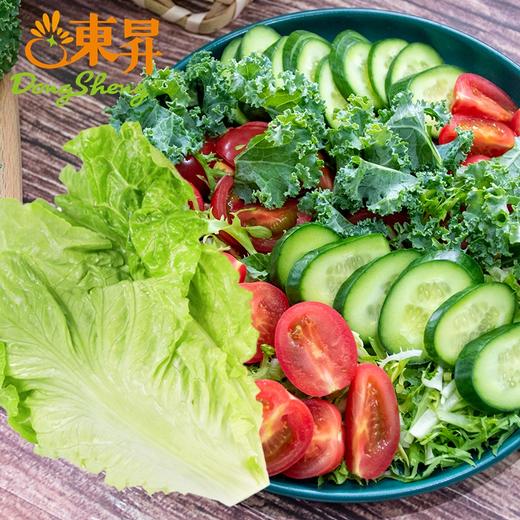 东升农场 新鲜混合蔬菜沙拉即食色拉生菜 低脂轻食健身代餐700g 商品图3