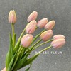 配花-郁金香-水蜜桃-10支 商品缩略图0