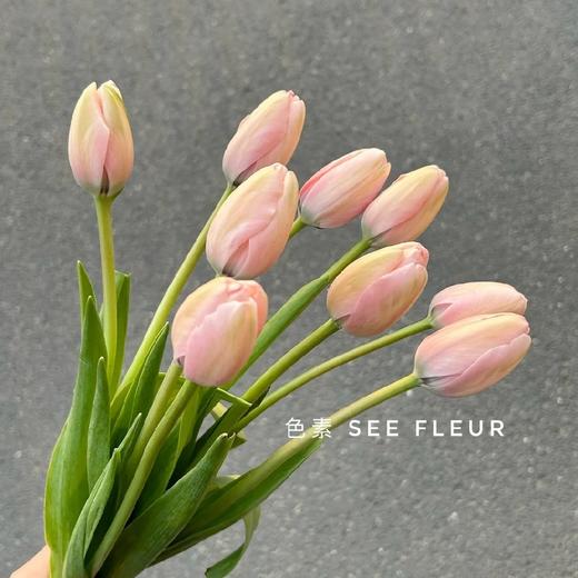 配花-郁金香-水蜜桃-10支 商品图0