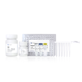 VAMNE Magnetic Pathogen DNA/RNA Kit（Prepackaged）