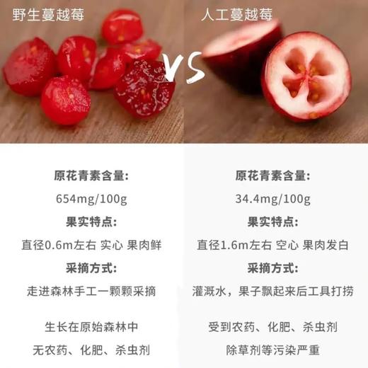 野生蔓越莓干/零食/ 酸甜可口 200g 商品图1