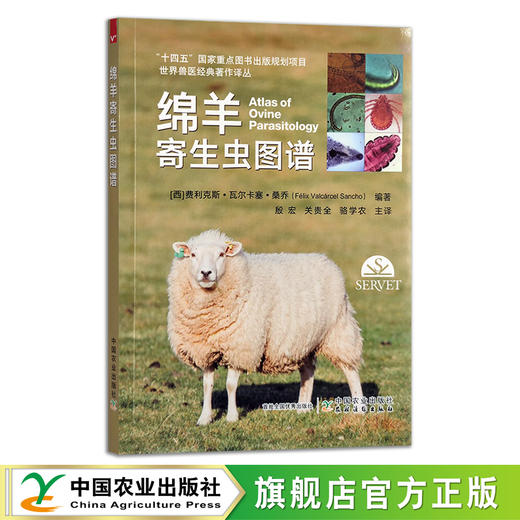 世界兽医经典著作译丛：绵羊寄生虫图谱 寄生虫病 羊病 费利克斯•瓦尔卡塞•桑乔  殷宏 关贵全 骆学农 30057 商品图0